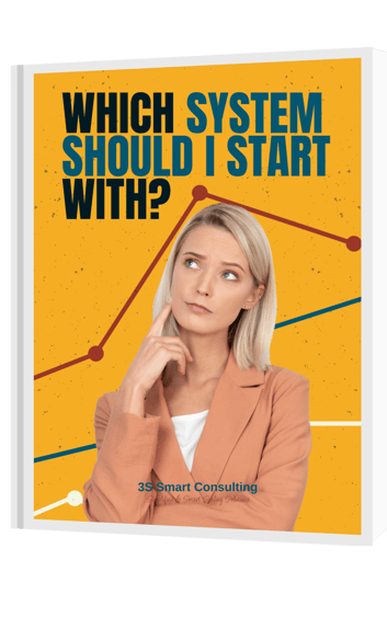 3s Smart Consulting Book Cover Image - Karen Hairston Website 3s Smart Consulting Book Cover Image - Karen Hairston Website