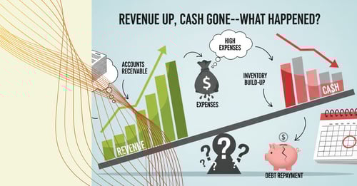 Revenue Up, Cash Gone—What Happened?